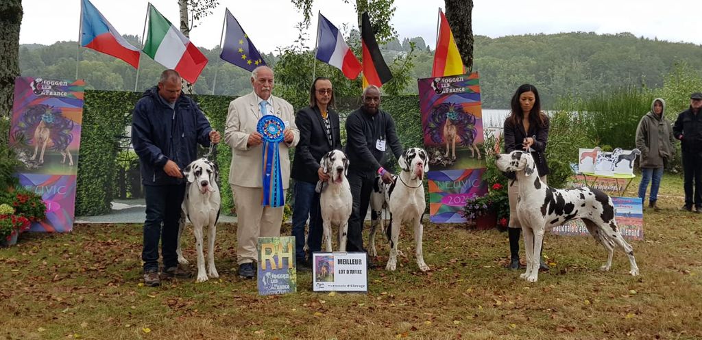 Des Terres Andalouses - MEILLEUR LOT D'ELEVAGE A LA NATIONALE D'ELEVAGE